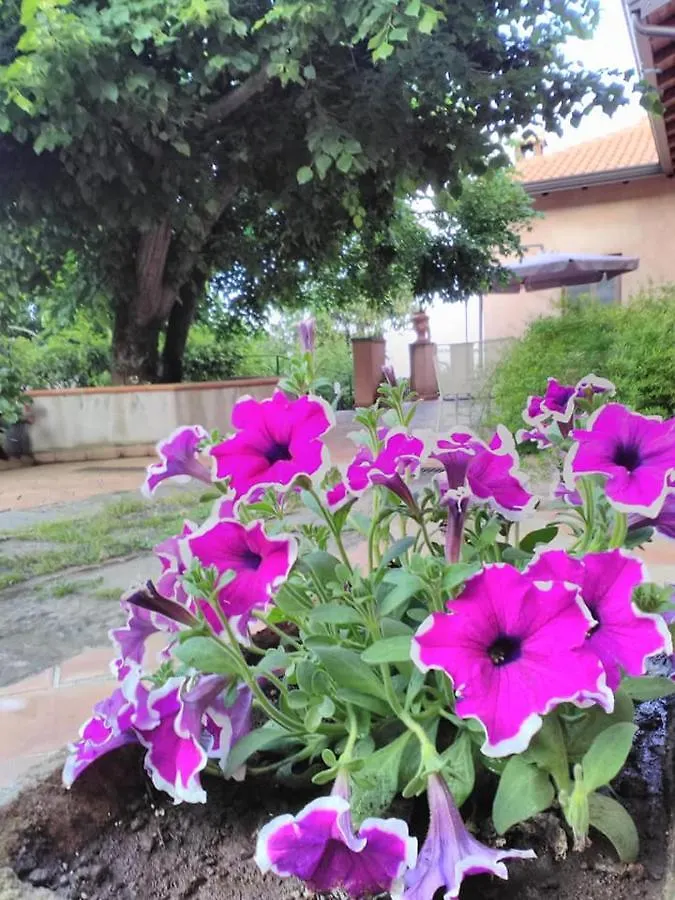 La Corte Di Bafe B&B 